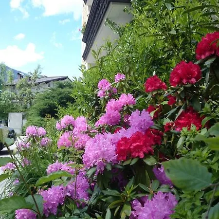 מלון Zum Toni באד הופגסטין